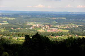DSC_2955